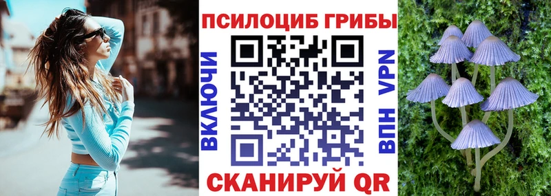 Псилоцибиновые грибы мицелий  Узловая 