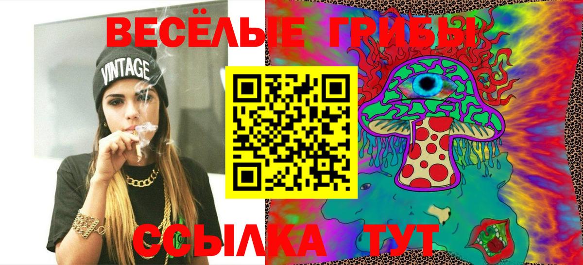 Галлюциногенные грибы Psilocybe  Галлюциногенные грибы Psilocybine cubensis  Узловая  Вход с VPN 